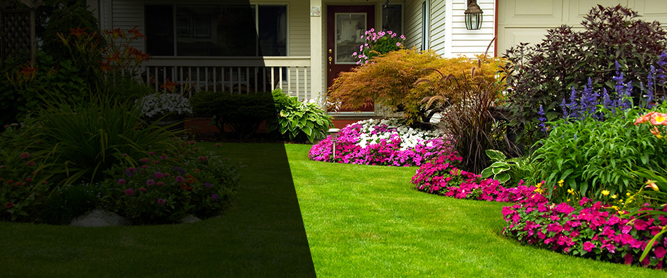 Somerville Landscapers